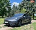Сірий Тесла Модель 3, об'ємом двигуна 0 л та пробігом 189 тис. км за 15000 $, фото 1 на Automoto.ua