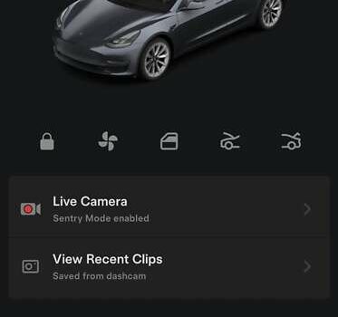 Сірий Тесла Модель 3, об'ємом двигуна 0 л та пробігом 69 тис. км за 23900 $, фото 25 на Automoto.ua