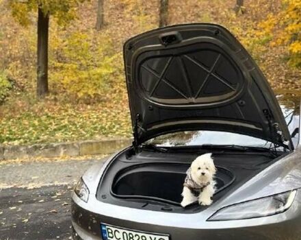 Тесла Модель 3 2024 у Львові на Automoto.ua Сірий Тесла Модель 3, об'ємом двигуна 0 л та пробігом 9 тис. км за 32500 $, фото 21 на Automoto.ua