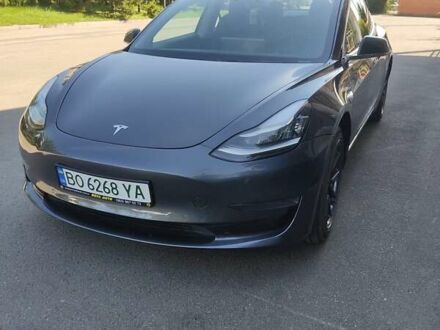 Тесла Модель 3 2019 в Тернополе на Automoto.ua Серый Тесла Модель 3, объемом двигателя 0 л и пробегом 79 тыс. км за 16500 $, фото 1 на Automoto.ua