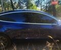 Синій Тесла Модель 3, об'ємом двигуна 0 л та пробігом 235 тис. км за 15500 $, фото 3 на Automoto.ua