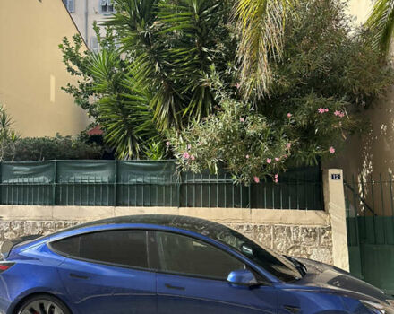 Синій Тесла Модель 3, об'ємом двигуна 0 л та пробігом 106 тис. км за 22000 $, фото 10 на Automoto.ua