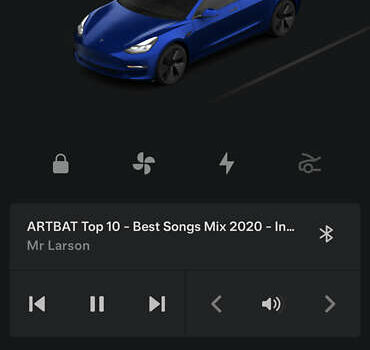 Синій Тесла Модель 3, об'ємом двигуна 0 л та пробігом 15 тис. км за 32500 $, фото 27 на Automoto.ua