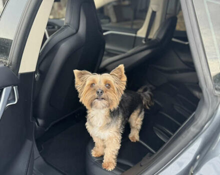 Сірий Тесла Модель С, об'ємом двигуна 0 л та пробігом 262 тис. км за 15000 $, фото 27 на Automoto.ua