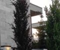Синій Тесла Модель С, об'ємом двигуна 0 л та пробігом 176 тис. км за 16500 $, фото 1 на Automoto.ua