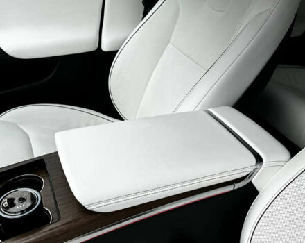 Тесла Модель С 2021 в Подольск (Котовск) на Automoto.ua Синий Тесла Модель С, объемом двигателя 0 л и пробегом 40 тыс. км за 50000 $, фото 15 на Automoto.ua