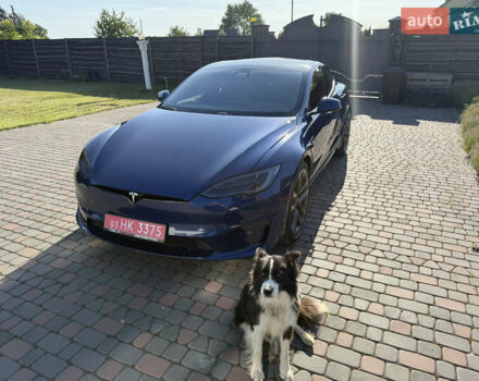 Синій Тесла Модель С, об'ємом двигуна 0 л та пробігом 50 тис. км за 48000 $, фото 11 на Automoto.ua