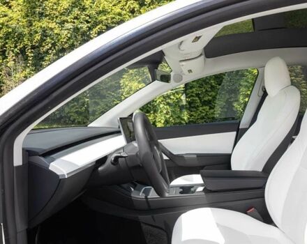 Білий Тесла Інша, об'ємом двигуна 0 л та пробігом 19 тис. км за 20000 $, фото 9 на Automoto.ua