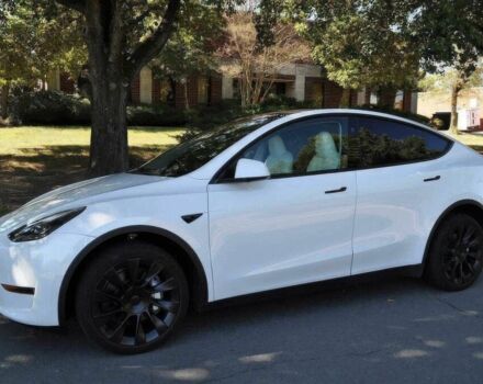 Білий Тесла Інша, об'ємом двигуна 0 л та пробігом 11 тис. км за 10700 $, фото 2 на Automoto.ua