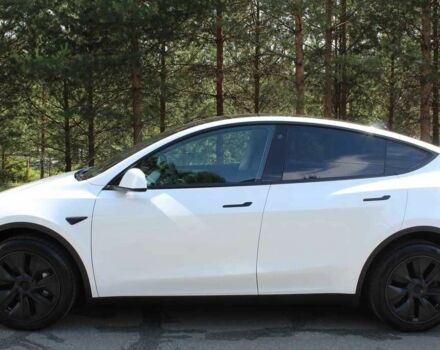 Білий Тесла Інша, об'ємом двигуна 0 л та пробігом 100 тис. км за 24000 $, фото 4 на Automoto.ua