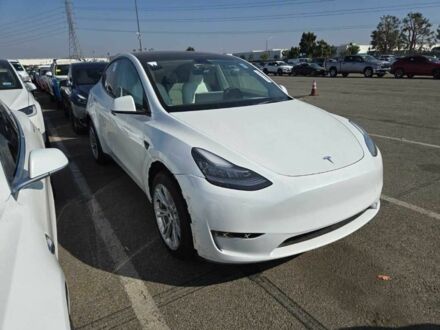 Білий Тесла Інша, об'ємом двигуна 0 л та пробігом 25 тис. км за 36000 $, фото 1 на Automoto.ua