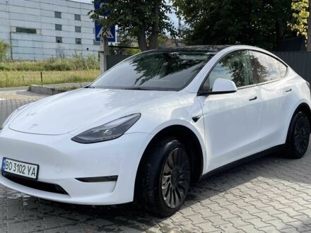 Тесла Другая 2023 в Львове на Automoto.ua Белый Тесла Другая, объемом двигателя 0 л и пробегом 22 тыс. км за 28999 $, фото 1 на Automoto.ua