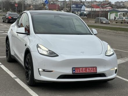 Тесла Другая 2024 в Ровно на Automoto.ua Белый Тесла Другая, объемом двигателя 0 л и пробегом 24 тыс. км за 29000 $, фото 1 на Automoto.ua