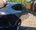 Серый Тесла Другая, объемом двигателя 0 л и пробегом 25 тыс. км за 29500 $, фото 1 на Automoto.ua