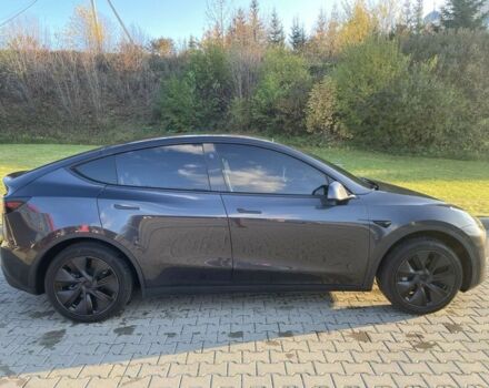 Тесла Другая 2024 в Тернополе на Automoto.ua Серый Тесла Другая, объемом двигателя 0 л и пробегом 3 тыс. км за 28000 $, фото 3 на Automoto.ua