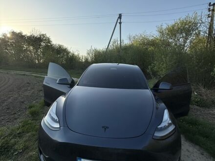 Тесла Другая 2021 в Сторожинце на Automoto.ua Серый Тесла Другая, объемом двигателя 0 л и пробегом 137 тыс. км за 21500 $, фото 1 на Automoto.ua
