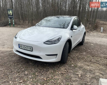Білий Тесла Model Y, об'ємом двигуна 0 л та пробігом 87 тис. км за 21999 $, фото 1 на Automoto.ua