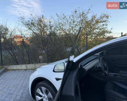 Тесла Model Y 2021 в Хмельницком на Automoto.ua Белый Тесла Model Y, объемом двигателя 0 л и пробегом 83 тыс. км за 25499 $, фото 49 на Automoto.ua