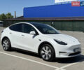 Белый Тесла Model Y, объемом двигателя 0 л и пробегом 110 тыс. км за 27750 $, фото 15 на Automoto.ua