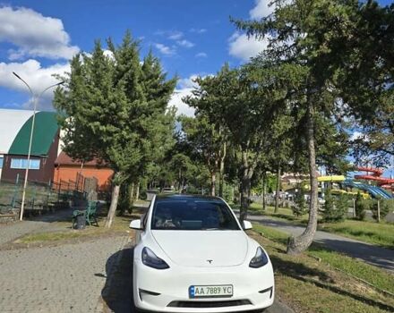 Білий Тесла Model Y, об'ємом двигуна 0 л та пробігом 109 тис. км за 22000 $, фото 87 на Automoto.ua