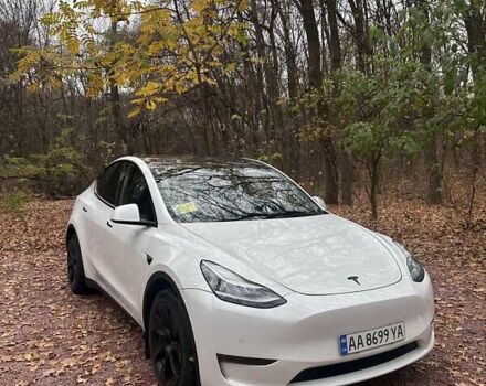 Белый Тесла Model Y, объемом двигателя 0 л и пробегом 118 тыс. км за 24500 $, фото 2 на Automoto.ua