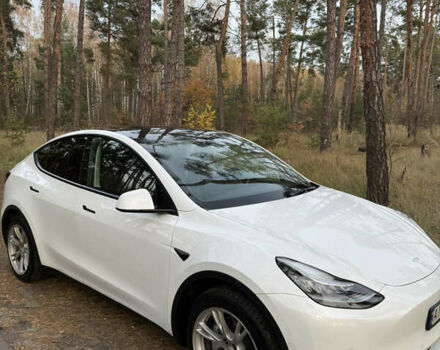 Белый Тесла Model Y, объемом двигателя 0 л и пробегом 141 тыс. км за 20900 $, фото 3 на Automoto.ua