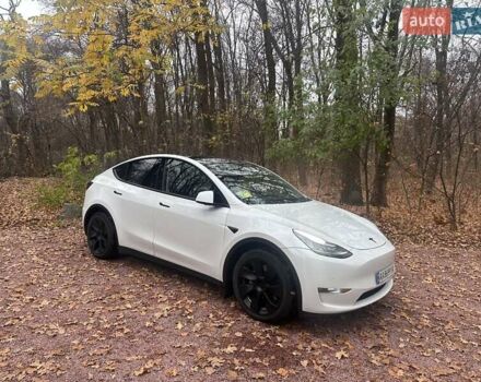 Белый Тесла Model Y, объемом двигателя 0 л и пробегом 118 тыс. км за 24500 $, фото 7 на Automoto.ua