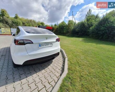 Білий Тесла Model Y, об'ємом двигуна 0 л та пробігом 75 тис. км за 30000 $, фото 1 на Automoto.ua