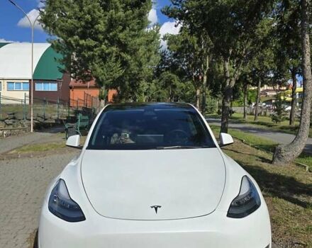 Білий Тесла Model Y, об'ємом двигуна 0 л та пробігом 109 тис. км за 22000 $, фото 88 на Automoto.ua