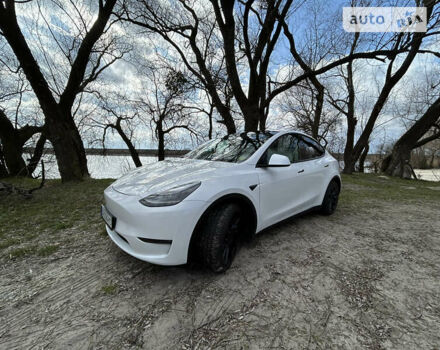 Білий Тесла Model Y, об'ємом двигуна 0 л та пробігом 6 тис. км за 42000 $, фото 2 на Automoto.ua