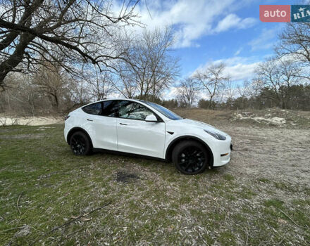 Белый Тесла Model Y, объемом двигателя 0 л и пробегом 6 тыс. км за 36900 $, фото 8 на Automoto.ua