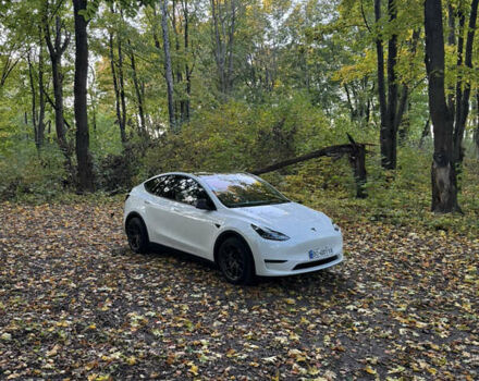 Белый Тесла Model Y, объемом двигателя 0 л и пробегом 30 тыс. км за 36500 $, фото 16 на Automoto.ua