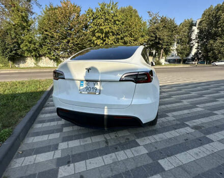 Тесла Model Y 2022 в Львове на Automoto.ua Белый Тесла Model Y, объемом двигателя 0 л и пробегом 60 тыс. км за 25500 $, фото 2 на Automoto.ua