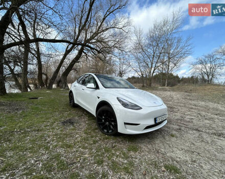 Белый Тесла Model Y, объемом двигателя 0 л и пробегом 6 тыс. км за 36900 $, фото 9 на Automoto.ua