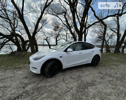 Білий Тесла Model Y, об'ємом двигуна 0 л та пробігом 6 тис. км за 42000 $, фото 3 на Automoto.ua