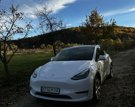 Белый Тесла Model Y, объемом двигателя 0 л и пробегом 46 тыс. км за 26150 $, фото 5 на Automoto.ua
