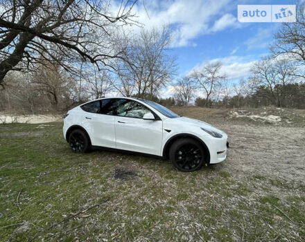 Білий Тесла Model Y, об'ємом двигуна 0 л та пробігом 5 тис. км за 45000 $, фото 15 на Automoto.ua