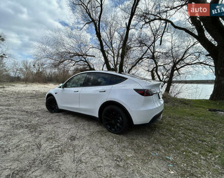 Білий Тесла Model Y, об'ємом двигуна 0 л та пробігом 6 тис. км за 42000 $, фото 4 на Automoto.ua