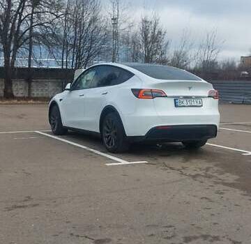Белый Тесла Model Y, объемом двигателя 0 л и пробегом 93 тыс. км за 35500 $, фото 7 на Automoto.ua