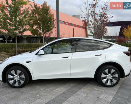 Белый Тесла Model Y, объемом двигателя 0 л и пробегом 25 тыс. км за 32500 $, фото 19 на Automoto.ua