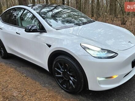 Білий Тесла Model Y, об'ємом двигуна 0 л та пробігом 74 тис. км за 24700 $, фото 1 на Automoto.ua