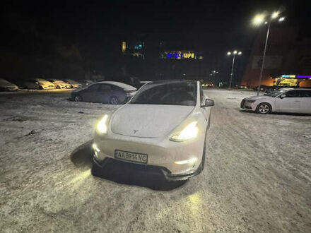 Білий Тесла Model Y, об'ємом двигуна 0 л та пробігом 148 тис. км за 21000 $, фото 1 на Automoto.ua