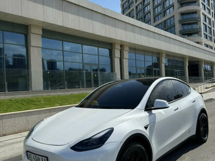 Тесла Model Y 2021 в Днепре (Днепропетровске) на Automoto.ua Белый Тесла Model Y, объемом двигателя 0 л и пробегом 29 тыс. км за 26900 $, фото 1 на Automoto.ua