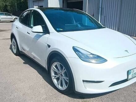 Білий Тесла Model Y, об'ємом двигуна 0 л та пробігом 98 тис. км за 22900 $, фото 1 на Automoto.ua