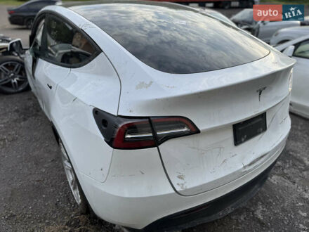 Тесла Model Y 2021 в Ужгороде на Automoto.ua Белый Тесла Model Y, объемом двигателя 0 л и пробегом 40 тыс. км за 6900 $, фото 1 на Automoto.ua