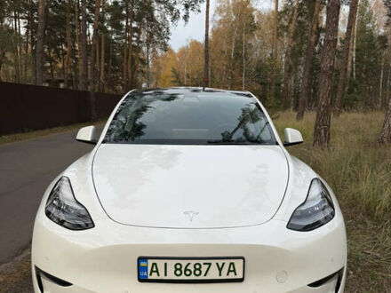 Білий Тесла Model Y, об'ємом двигуна 0 л та пробігом 141 тис. км за 20900 $, фото 1 на Automoto.ua
