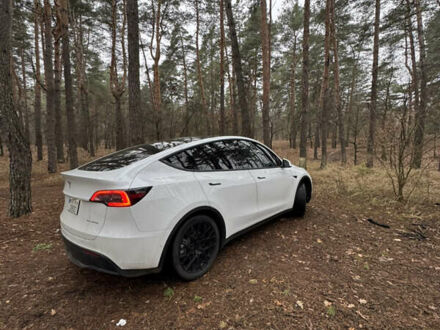 Белый Тесла Model Y, объемом двигателя 0 л и пробегом 45 тыс. км за 25000 $, фото 1 на Automoto.ua