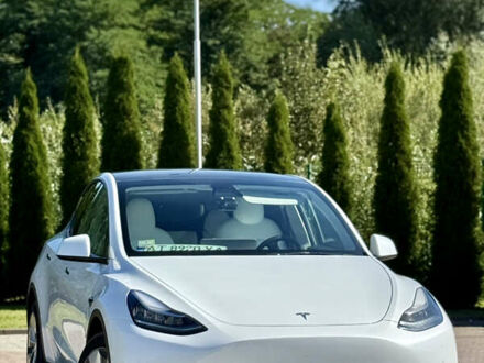 Белый Тесла Model Y, объемом двигателя 0 л и пробегом 19 тыс. км за 26500 $, фото 1 на Automoto.ua