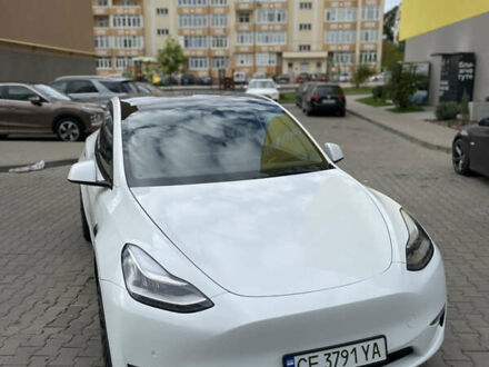 Тесла Model Y 2021 в Черновцах на Automoto.ua Белый Тесла Model Y, объемом двигателя 0 л и пробегом 65 тыс. км за 22999 $, фото 1 на Automoto.ua