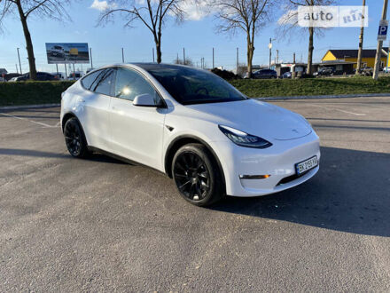 Белый Тесла Model Y, объемом двигателя 0 л и пробегом 10 тыс. км за 35555 $, фото 1 на Automoto.ua